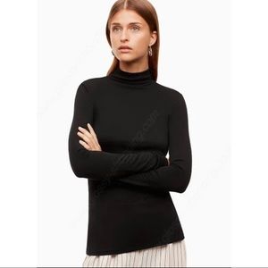 Aritzia Babaton Larry Turtleneck